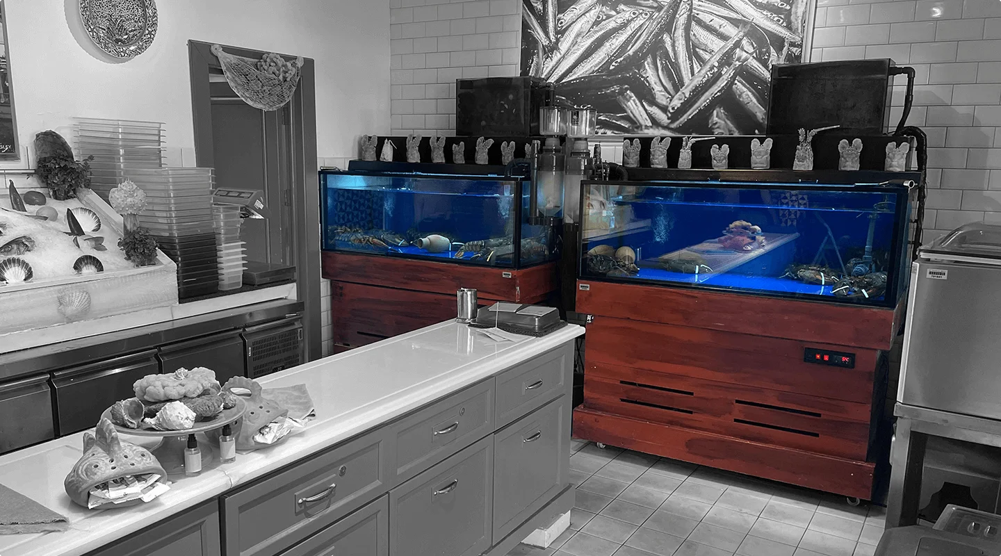 Loef Aquatics Masterpiece 4